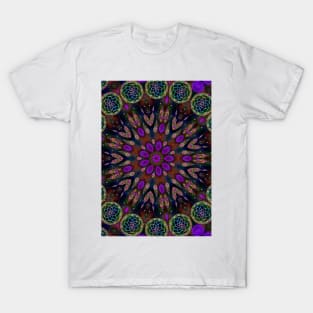 dream catcher mandala T-Shirt